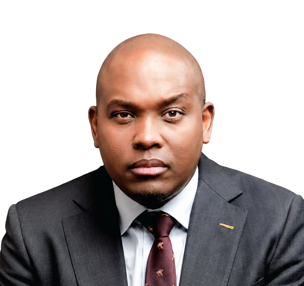 Mr Vusi Thembekwayo